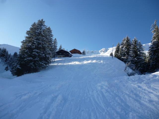 B&B Chalet Rey-Bellet Les Crosets ภายนอก รูปภาพ